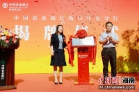 海南省金融机构在海口江东新区设立首家二级分行