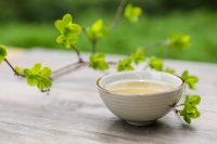[联谊云庐]半倚斜阳 与你畅聊这院落光景
