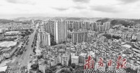 凤岗 城市品质提升与乡村振兴“同频共振”