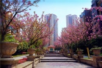 实景美图鉴赏:中冶·大学里
