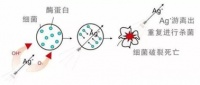 抗菌涂料真的能抗菌吗?