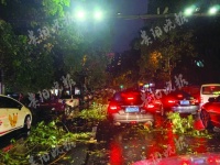 昨夜,暴雨突袭贵阳城 最大降雨量达到50毫米以上