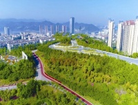 屏对屏沟通 线连线解难 宜昌招商局力推项目从"云端"落地