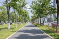 中建·宜昌之星:沐园而居,至此不可多得