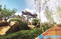 19项绿化工程提升城市颜值