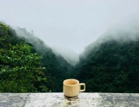 一秒看懂什么叫朝阳产业?
