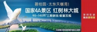 【碧桂园太东天樾湾】港府,广深港高铁香港段9月23日正式通车
