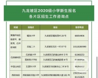 九龙坡区户籍地小学新生报名 6月2日开始入学申请