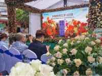 美菱M鲜生全面薄冰箱502WQ3S瑰丽上市