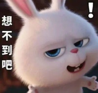 重磅规划!襄阳这里将有大动作!有望直飞境外!
