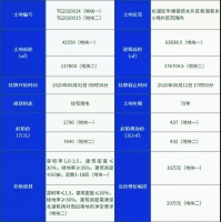 项目总投资20亿元!疑似郴州国际化教育城土地即将挂牌!