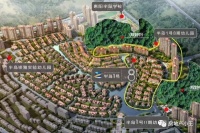 惠州【半岛一号】重大消息!彻底火了,内幕详情解析!