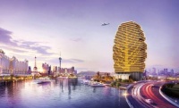 横琴梧桐树，珠海独一无二的风景