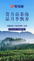 赏万亩茶海,品月季飘香 | 林达阳光城业主一日游,开启田园美