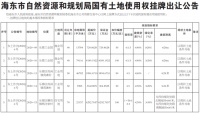 最高起拍价198万/亩 海东市5宗土地集中挂牌出让