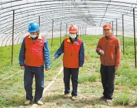 国网珠日河供电所所长张淑芬:为了草原灯火永不熄