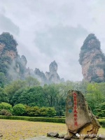 @衡阳医护人员,暖心福利来了,从即日起带你免费游张家界