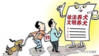 汕头:拟立法规范文明行为 向社会公开征求意见