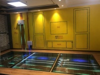 圣诞鸟整装装修工艺再升级——揭秘圣诞鸟整装全新DIM工艺系统