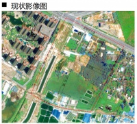 新建公园绿地!金海岸大道附近338.09亩地块详细规划出炉!