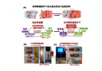 天津大学:超级电子皮肤“全天候”自愈