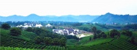 【官】安吉两山乡居旁边住宅都是什么?【热销】
