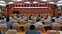 东莞桥头镇:推进乡村振兴“全域项目化”