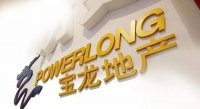 受许华芳力邀陈德力加盟宝龙 它要提速了？