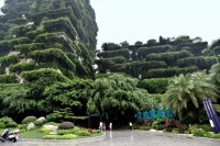 秀洲区市区中洲碧桂园花溪源著官网发布!独家消息!【官方网站】