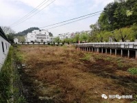 黄山中心城区呈塘公园改造完成,现已以全新面貌正式对市民开放!