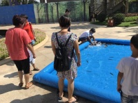 徒手抓鱼大赛凉爽来袭,全城寻找捕鱼达人!