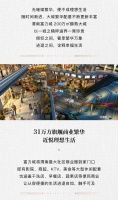 大城进阶|帷幄繁华大境,致敬理想人居