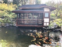 【官网】2020上海松江佘山东紫园售楼处电话-位置-价格