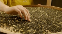 茉莉茶香飘京城 非遗技艺传经典
