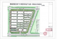 聊城高新区量子生物医药产业园一期地块规划平面图