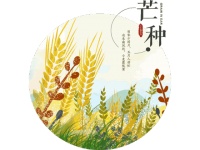 #芒种#义城周边栽插忙,乌云密雨李子黄