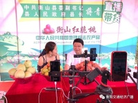 衡山县长当“主播” 为“衡山红脆桃”代言