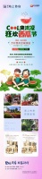 致远·海上传奇 | COOL爽清凉,狂欢西瓜节