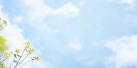 融创银川 | 『嗨夏好房节』燃情一夏,约惠六月天