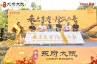 郑州名校纬五路一小进驻,杨金板块迈入发展快速通道