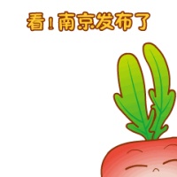 今天下午4点,通车!