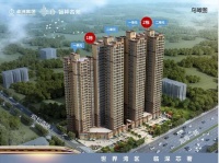 惠州【卓洲•智祥名苑】到底怎么样,为什么有的说好,有的说不好