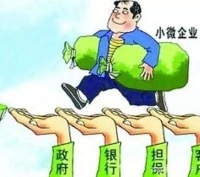 两部门安排100亿专项信贷精准支持湖北省民营企业