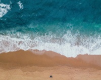 缤纷海世界 “鱼”乐无极限 | 天河莊園VIP招募火热进行中