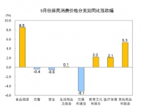 国家统计局:5月CPI同比上涨2.4% 猪肉价格继续下降8.1％