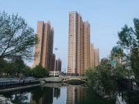 衡水碧桂园天悦府丨3#楼载誉加推 全城热捧 热势难挡