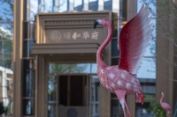 四季有花,九境造园 | 精铸园林写意人生