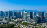 逆势开局,滨江奔向高质量发展的“高速路”!