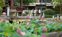 防城港这些花开得如火如荼,你来打卡了吗?