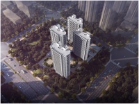 福飞路再迎重大利好!7亿重磅项目落地!